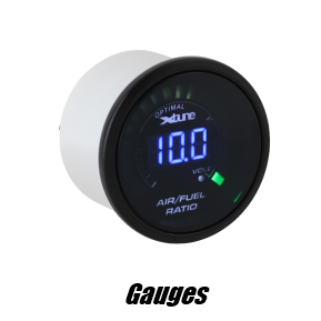 Gauges