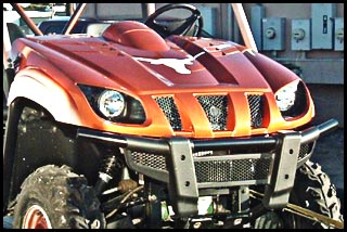 Customized 4-Wheeler